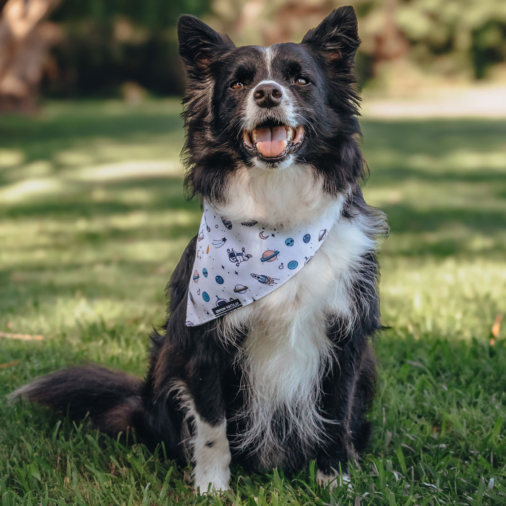 Ground Control Bandana - Ground Control