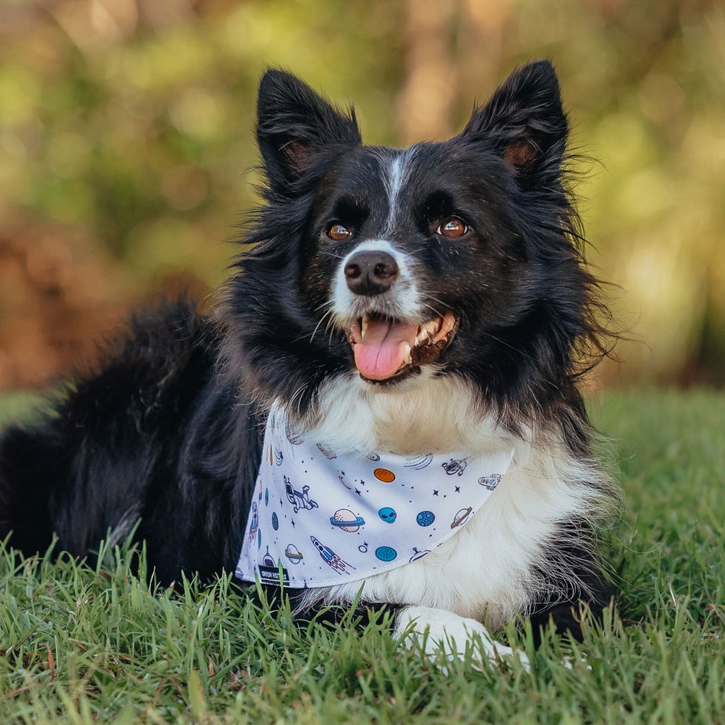 Ground Control Bandana - Ground Control