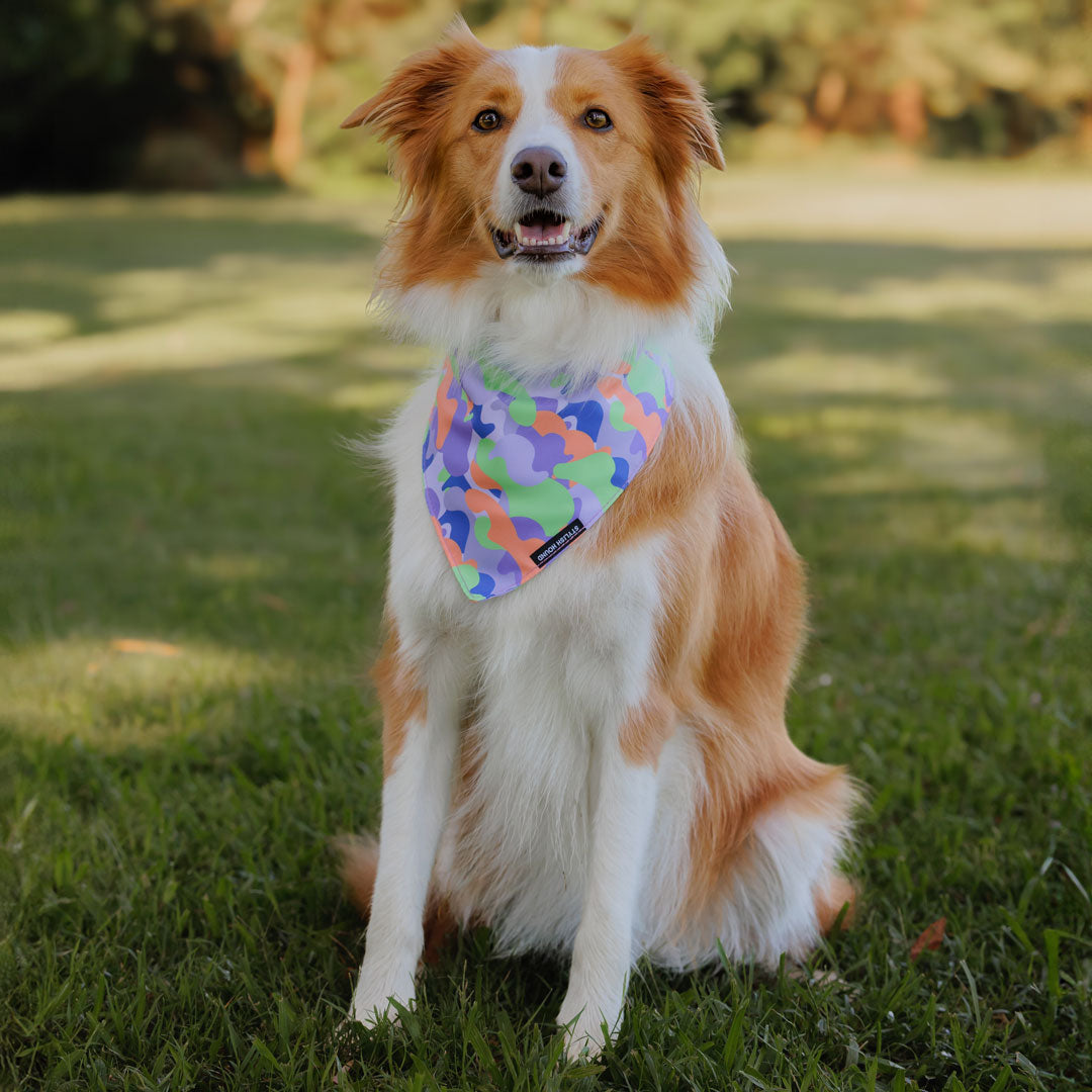 Luna Bandana - Luna