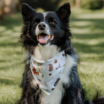 Wild Grove Bandana - Wild Grove