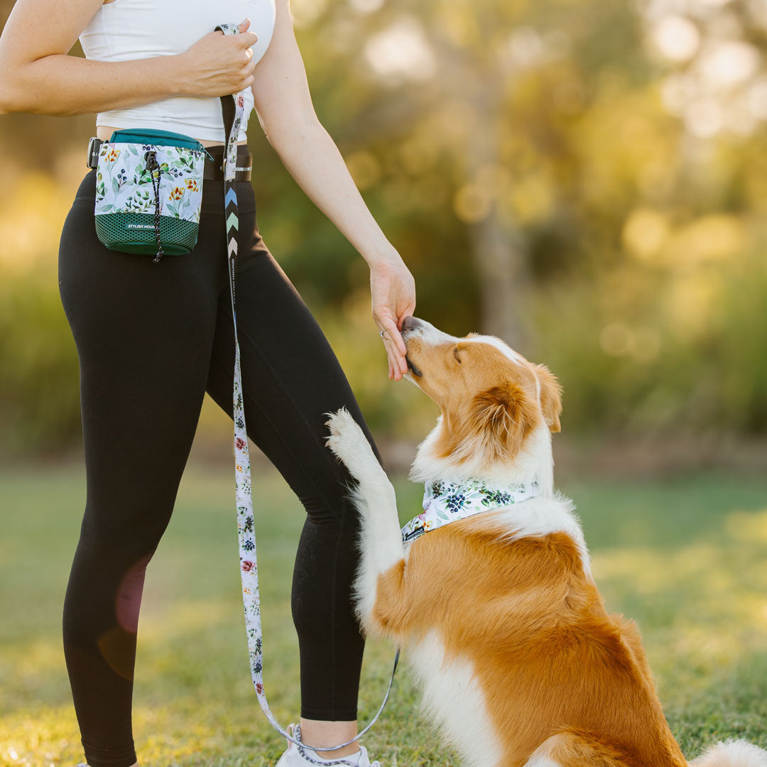 Evergreen Train n' Treat Pouch (Pre-Order)