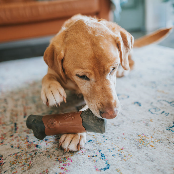 Tree Branch Extreme Squeaker Power Chew