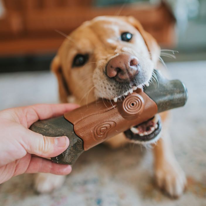 Tree Branch Extreme Squeaker Power Chew