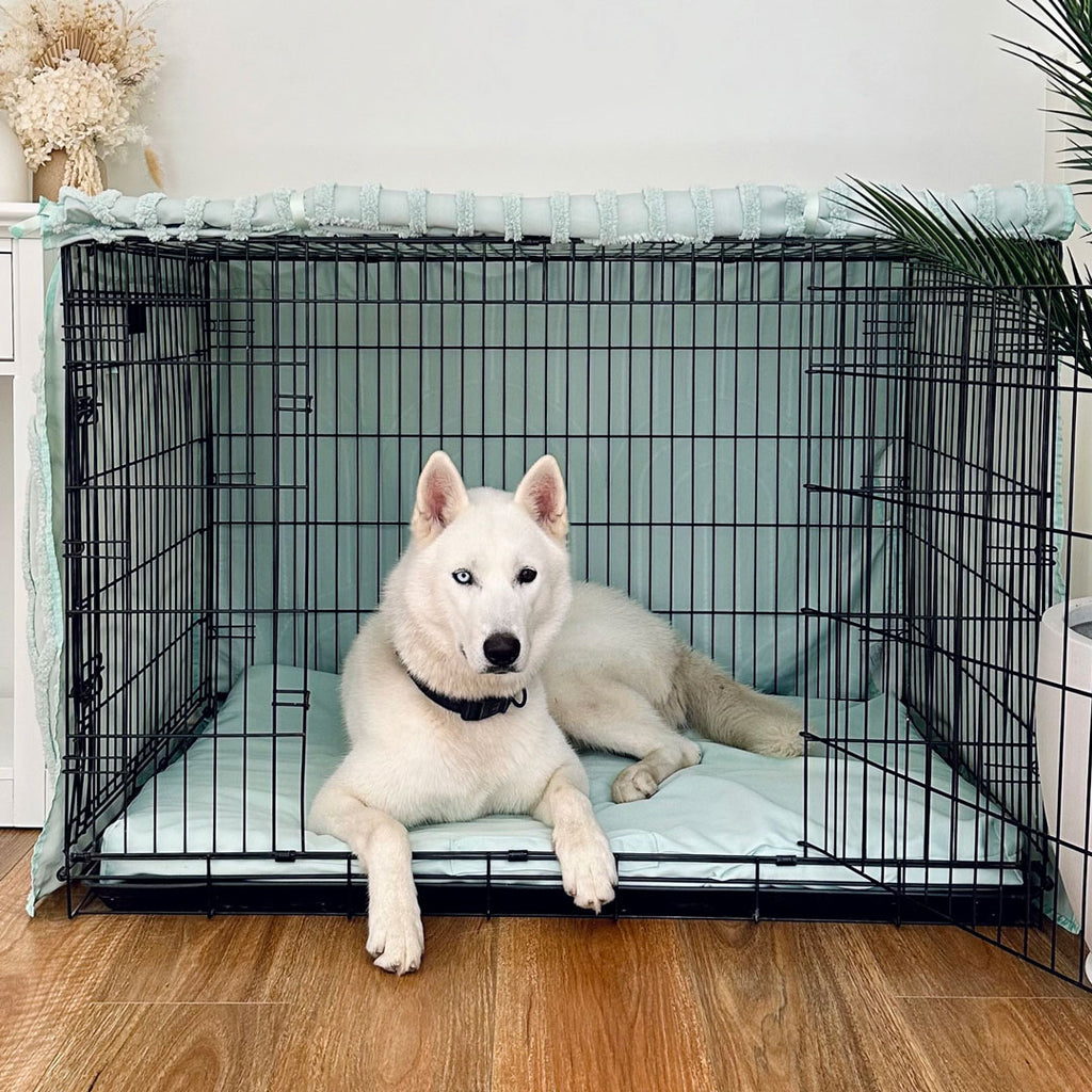 Sage Basic Cover - Sage