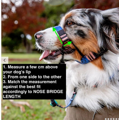 Milano Halter - Milano