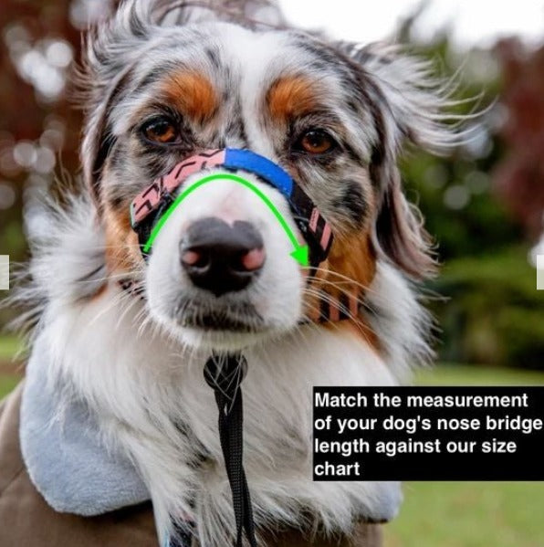 Chrome Halter - Chrome