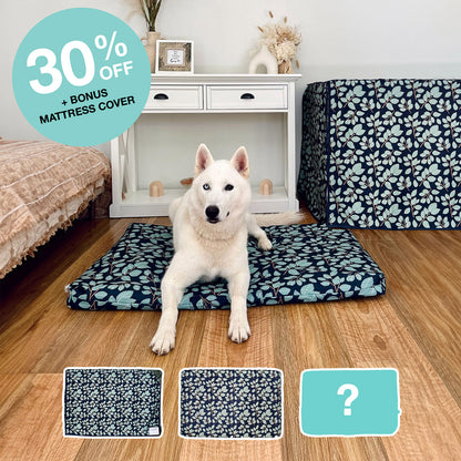 Outlet Crate Bundle - Woodland