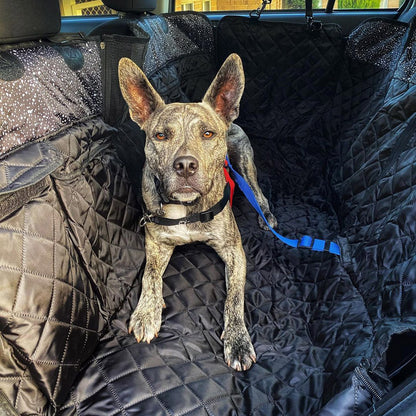 Back Seat Cover with Travel Bag