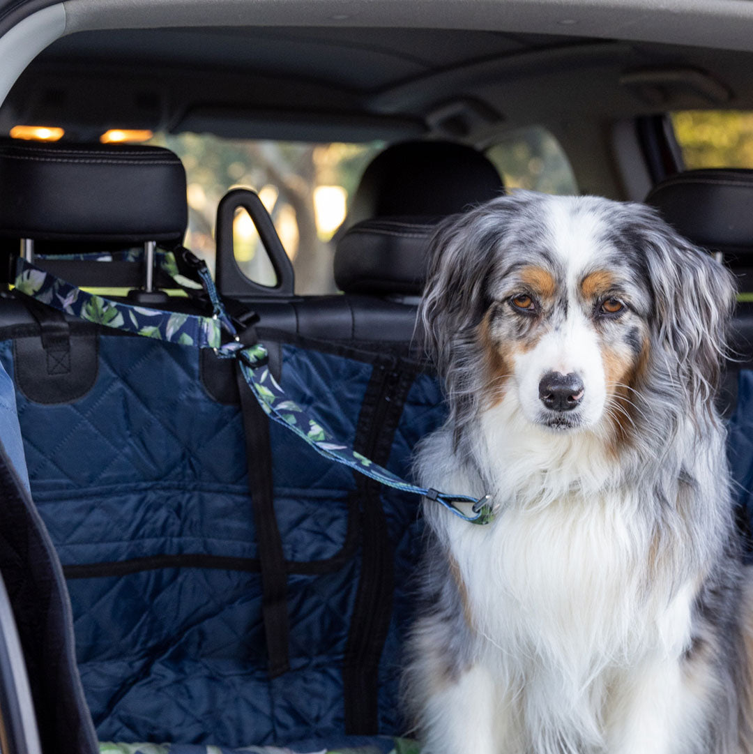 Eden Headrest - Eden