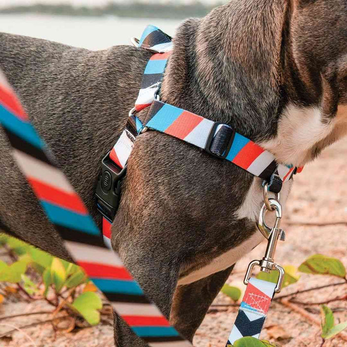 Superfly Leash