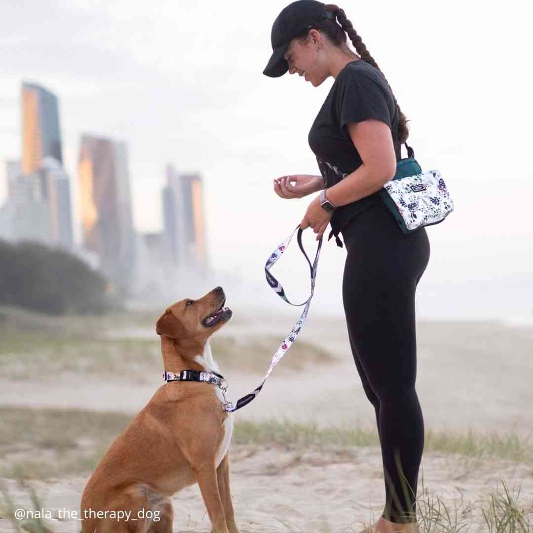 OG Training Treat Pouch