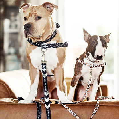 Wild Side Leash - Wild Side