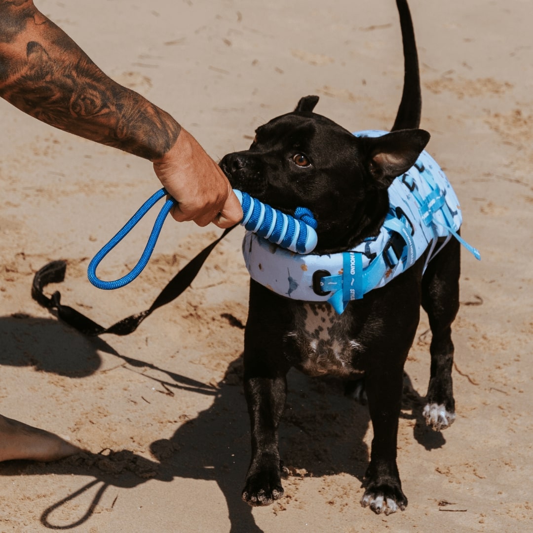 Fresh Blue Hydro Stick - Fresh Blue