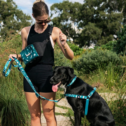 Nova RNT No-Pull Training Harness - Nova