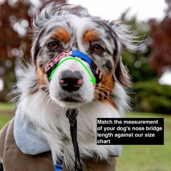 On Duty Halter - On Duty