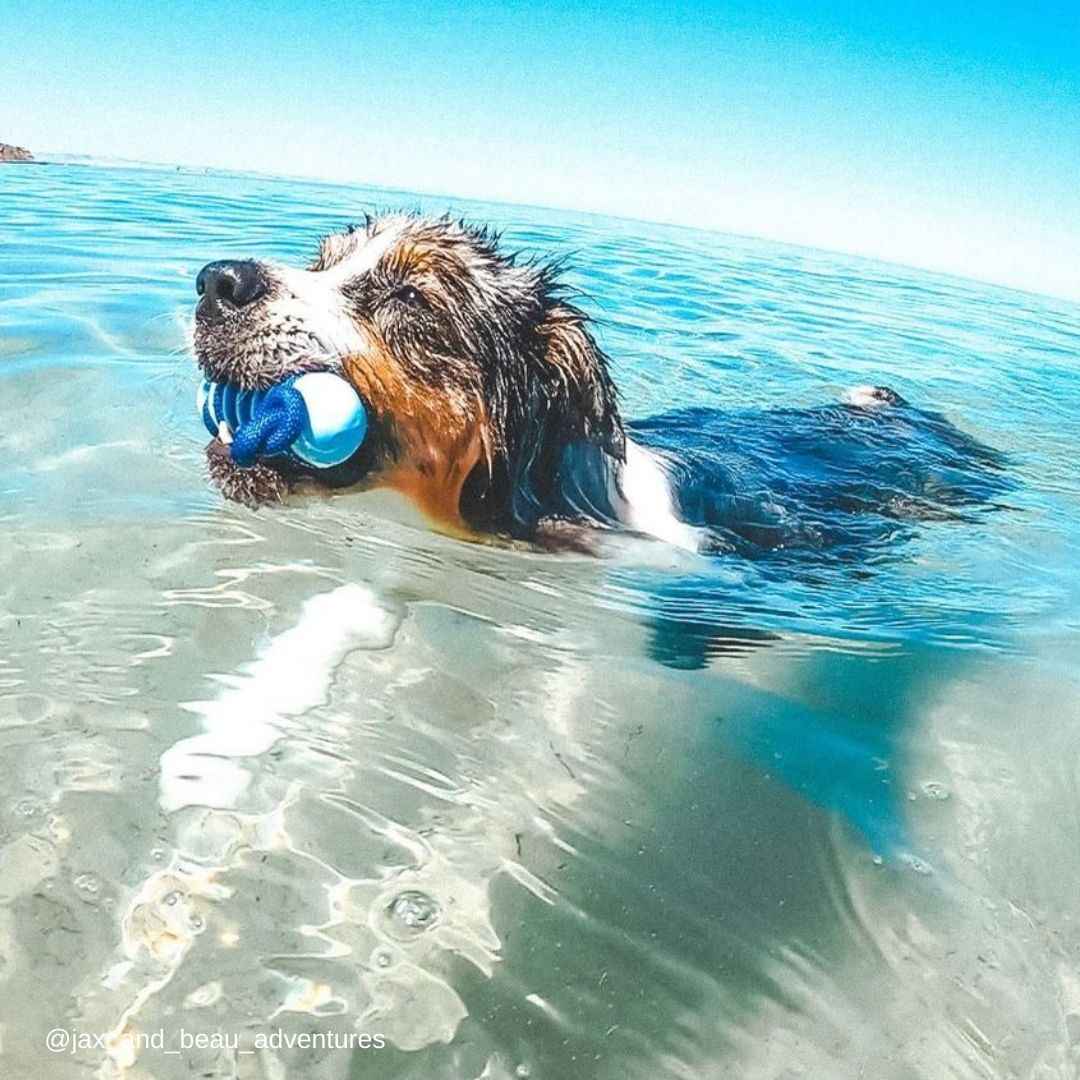 Fresh Blue Hydro Stick - Fresh Blue