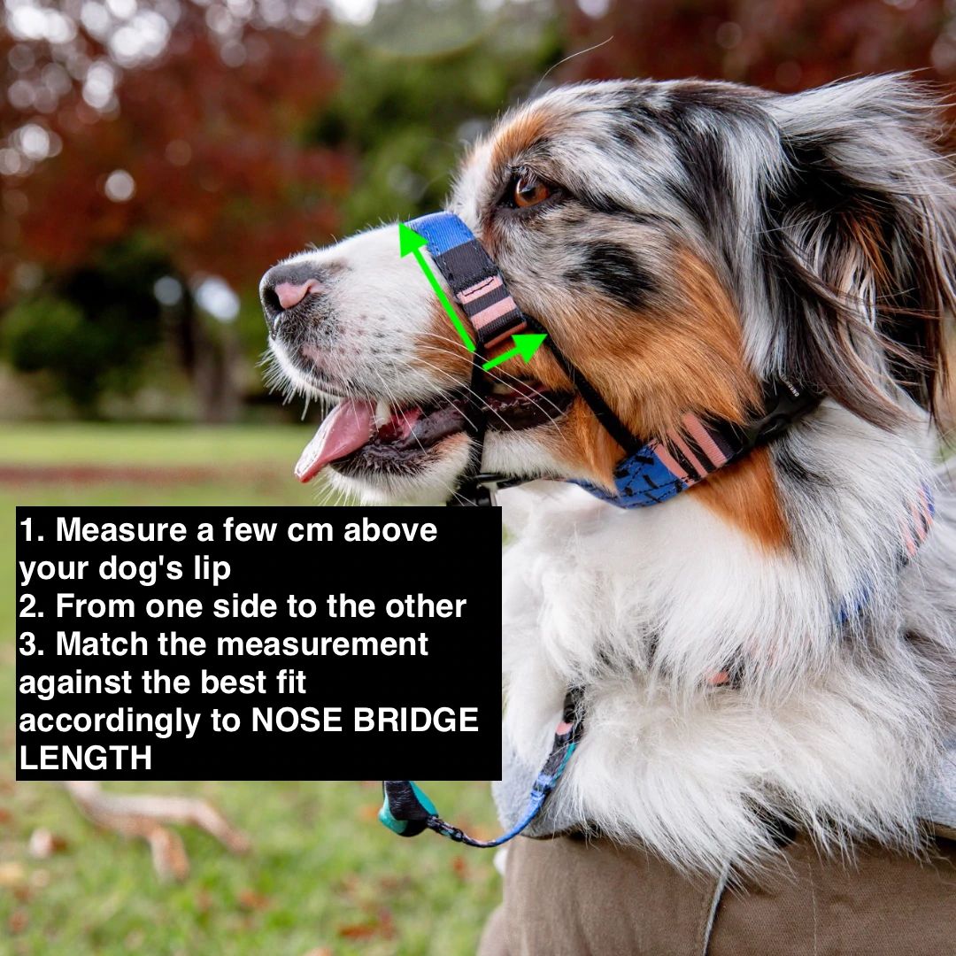 Newtown Halter - Newtown