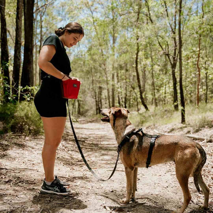 Blackout Leash