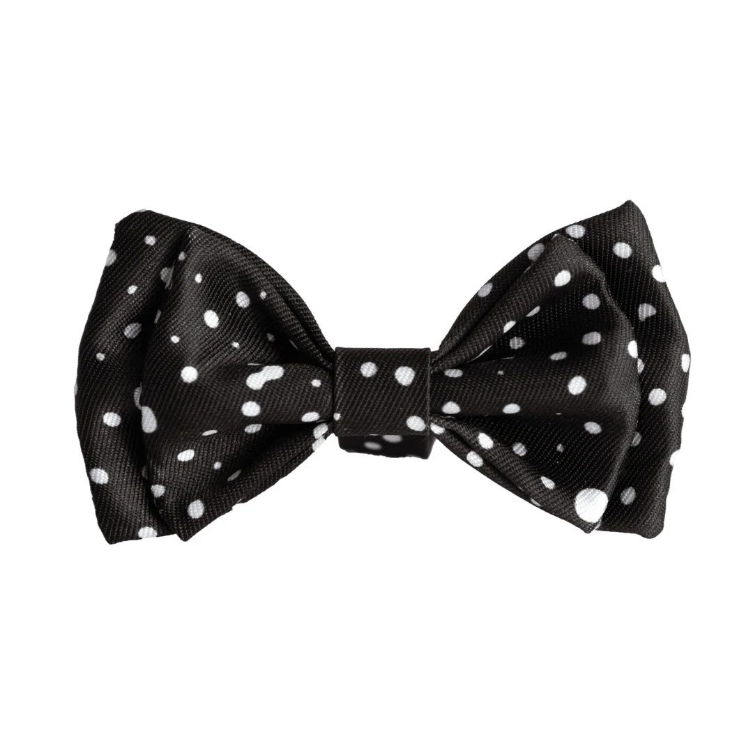 Jackson Bow Tie - Jackson