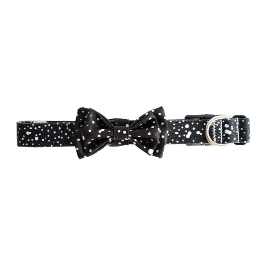 Jackson Bow Tie - Jackson