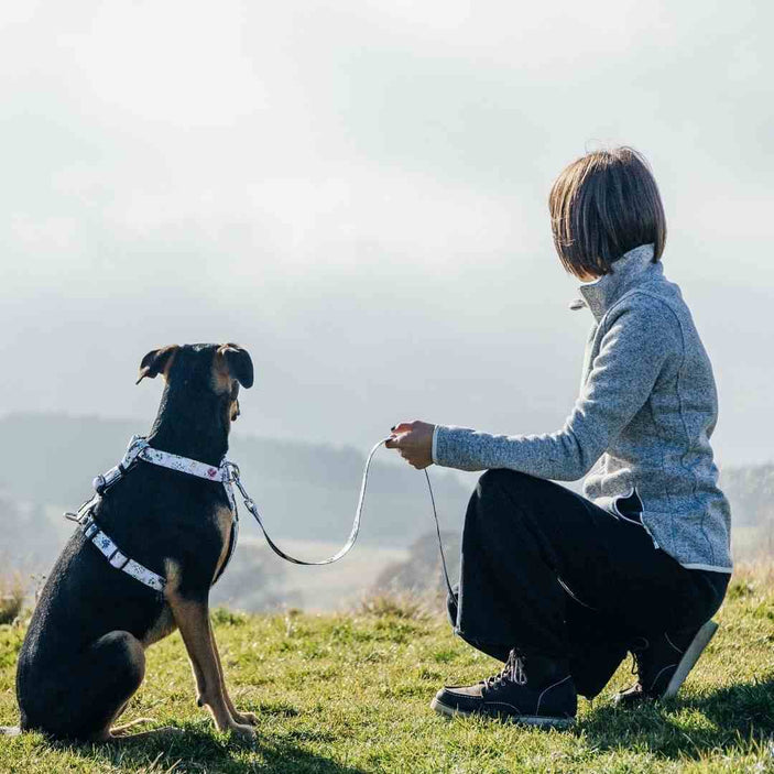 Evergreen Leash