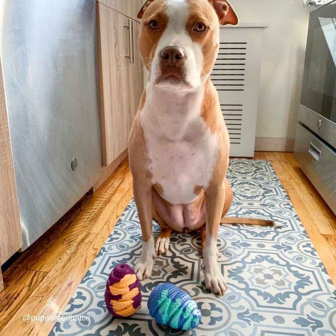 Lagoon Hercules - Factory Seconds