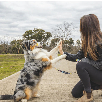 High Top Halter - High Top