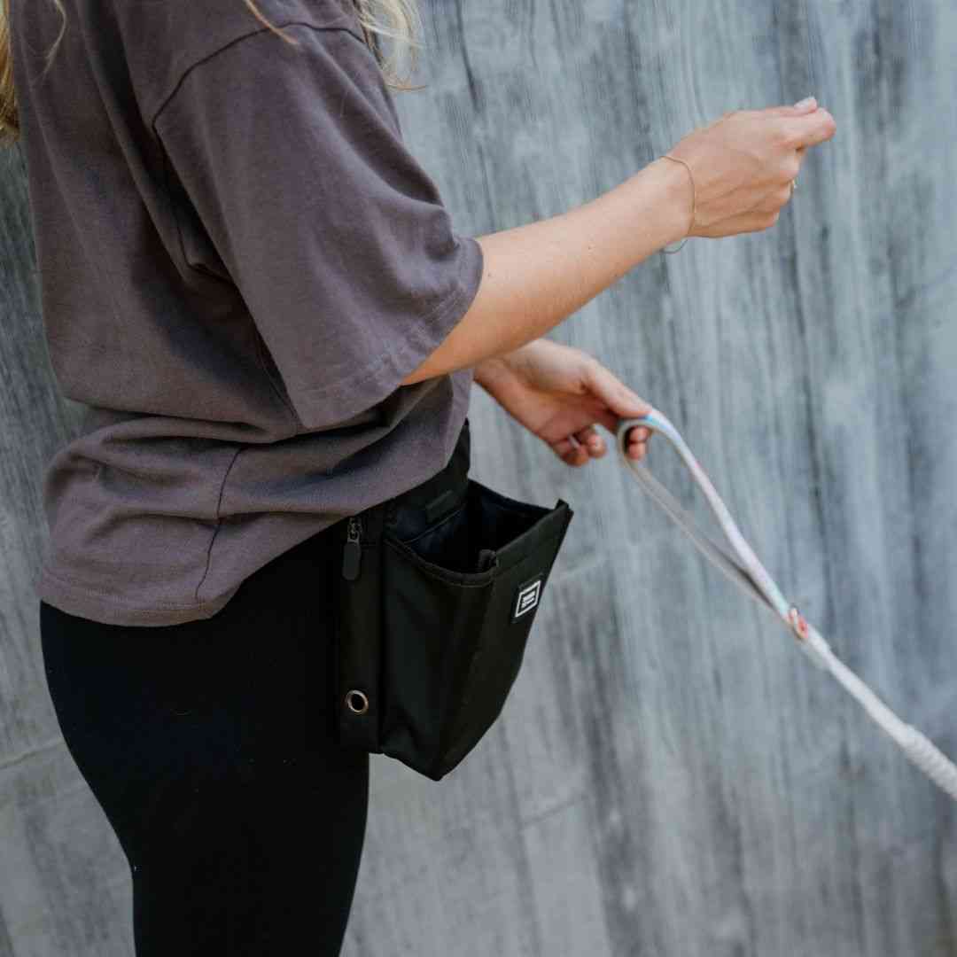 OG Training Treat Pouch