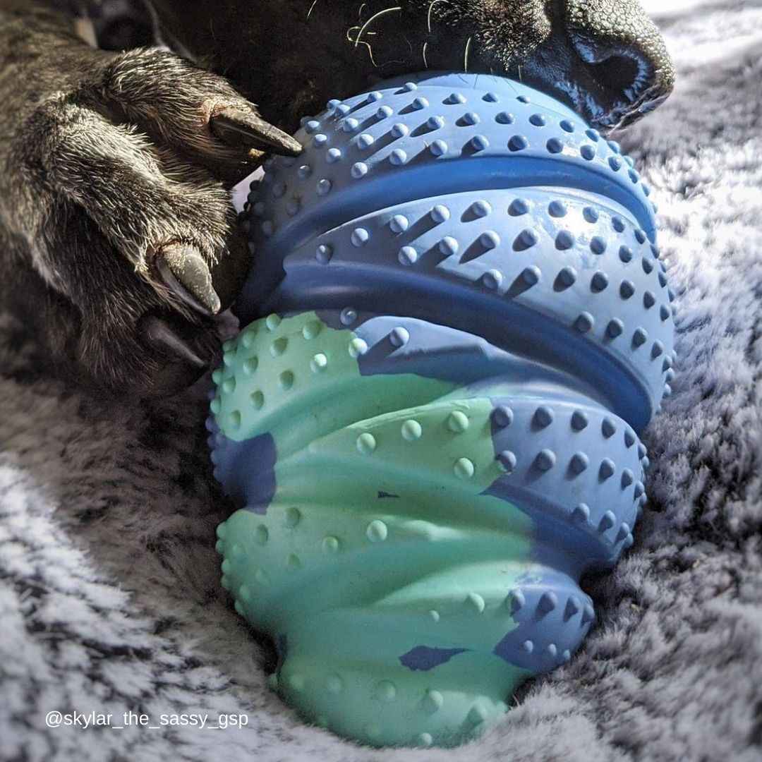 Lagoon Hercules - Factory Seconds