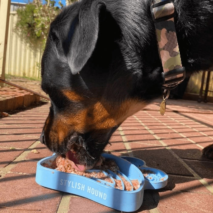 Baby Blue 2in1 Lick Bowl Slow Feeder