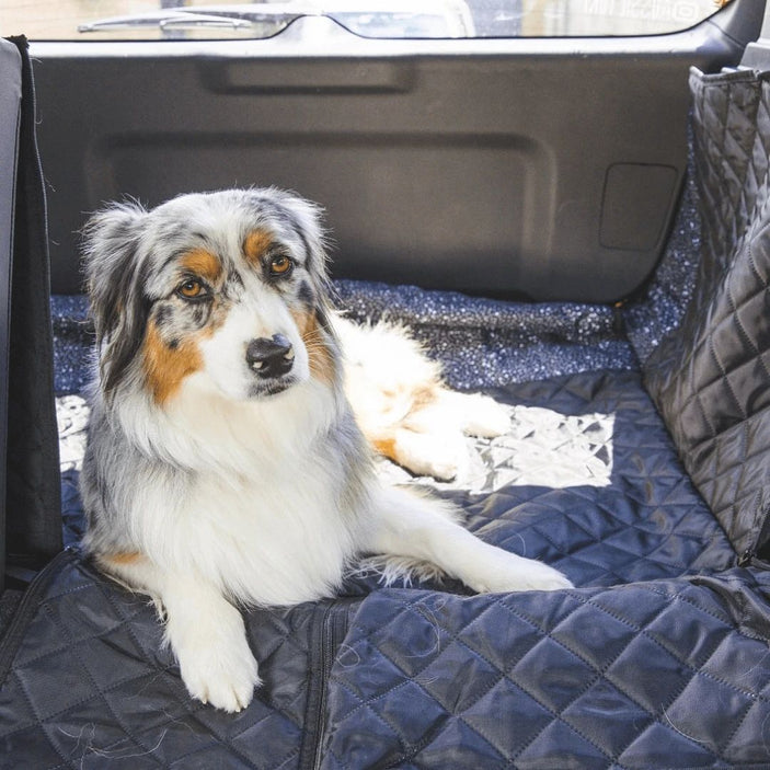 Jackson Car Boot Cover with Drawstring Bag