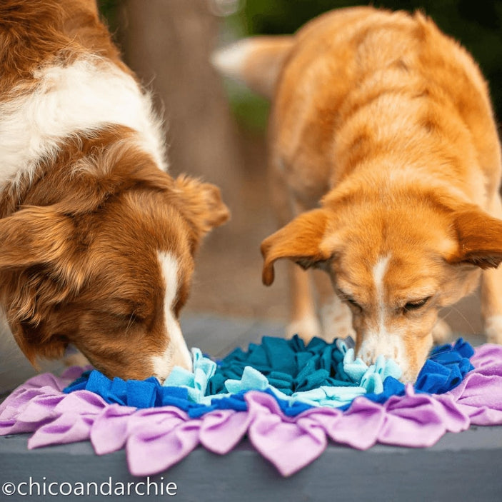 Iris Bloom Snuffle Mat