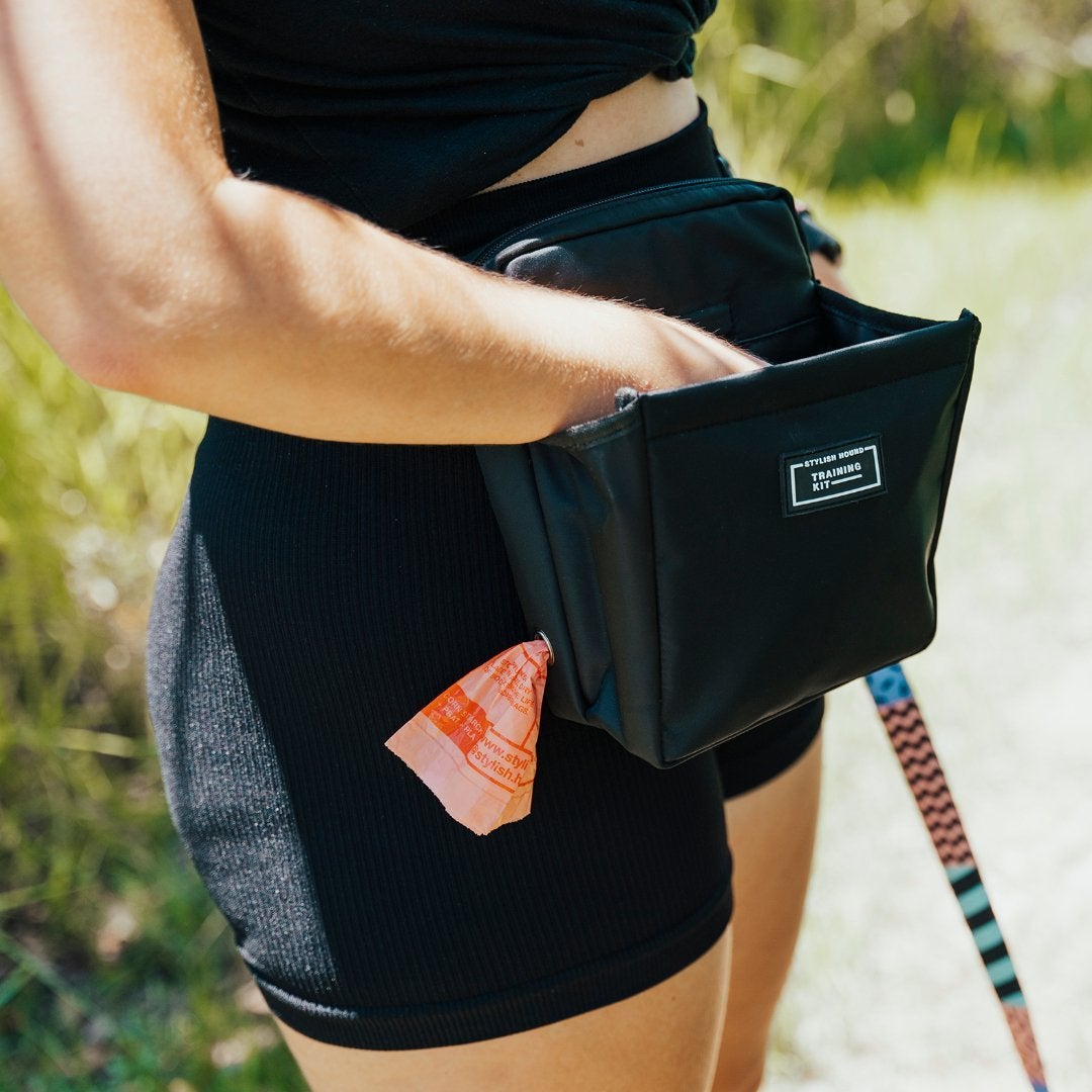 OG Training Treat Pouch