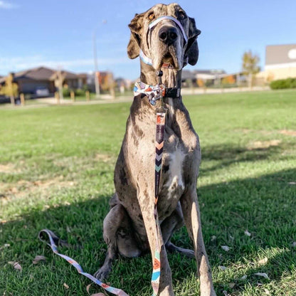 Newtown Halter - Newtown