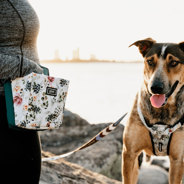 Evergreen OG Treat Pouch 2.0