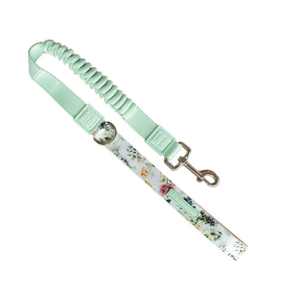 Evergreen CC Leash - Evergreen