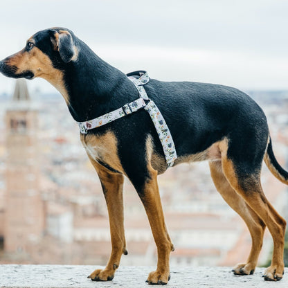 Evergreen OG No-Pull Training Harness - Evergreen