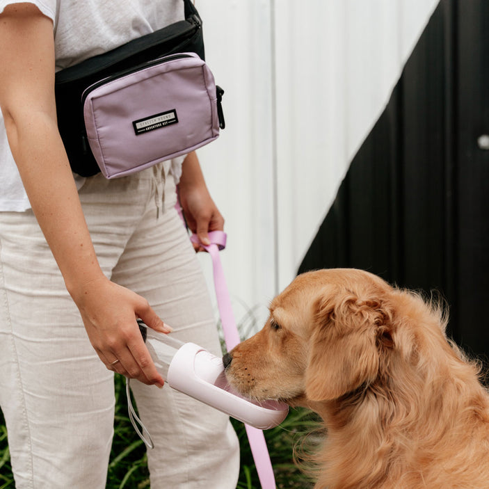 Lilac Express Pouch