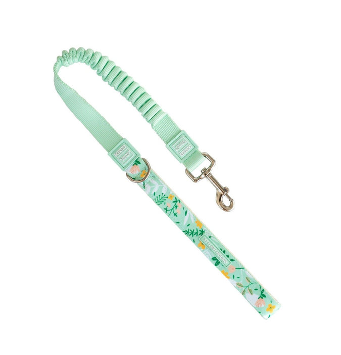 Flora Cruise Control Obedience Leash