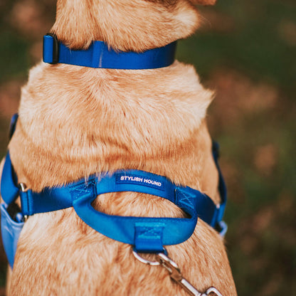 Horizon OG No-Pull Training Harness - Horizon