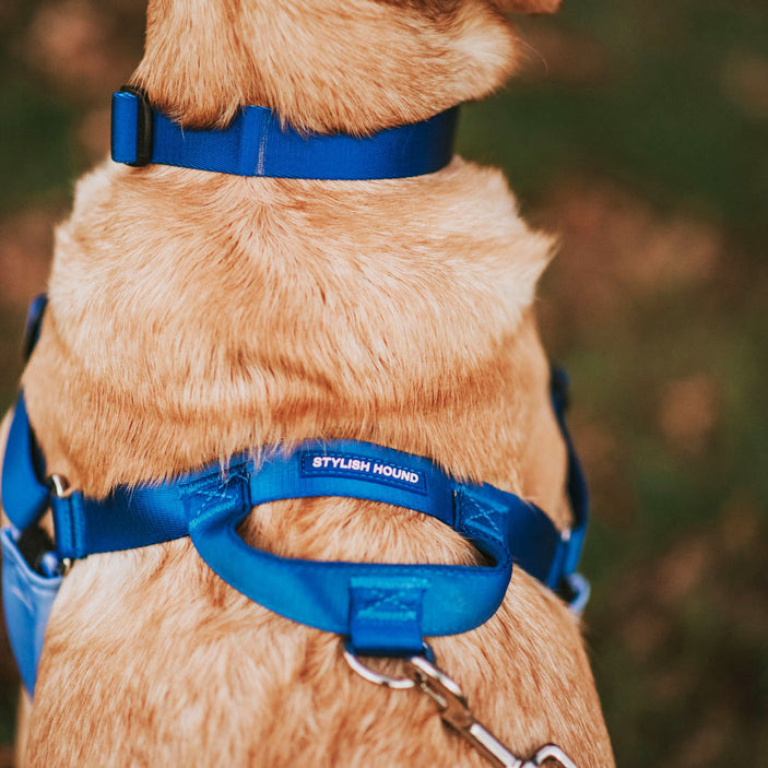 Horizon OG No-Pull Training Harness