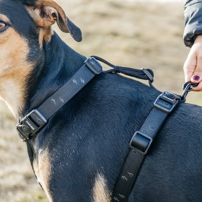 Blackout Explorer Chest Plate - Blackout