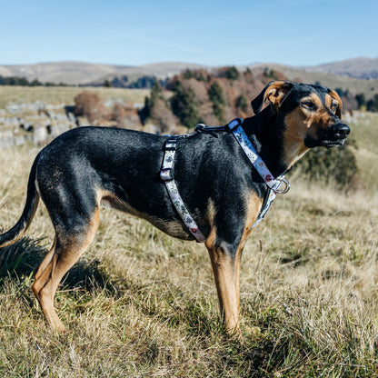 Evergreen Explorer Chest Plate - Evergreen