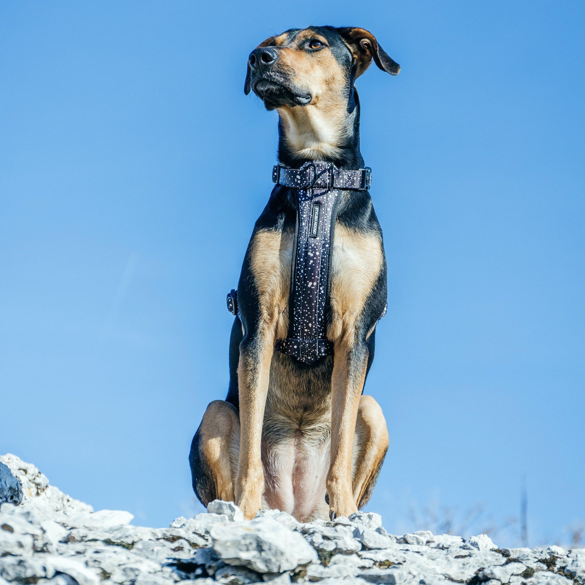 Jackson Explorer Chest Plate - Jackson