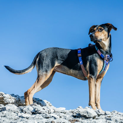 Gumball Chest Plate - Gumball