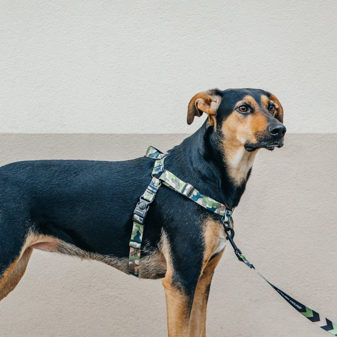 On Duty OG No-Pull Training Harness - On Duty