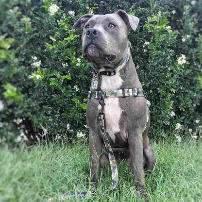 On Duty RNT No-Pull Training Harness - On Duty