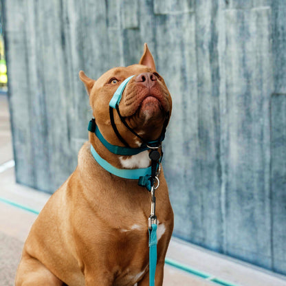 Quartz Halter - Quartz