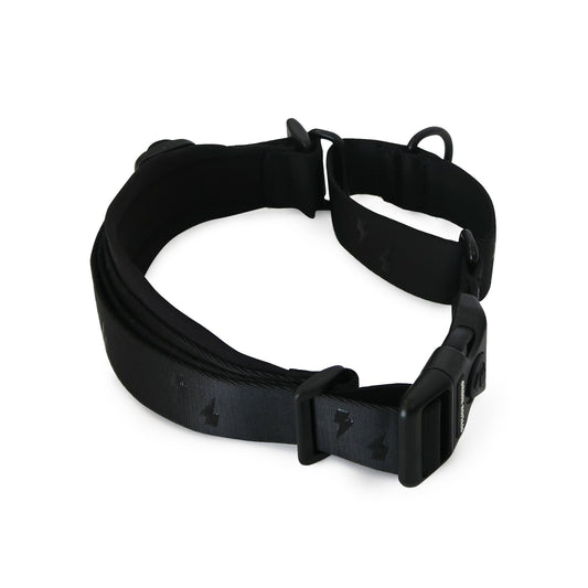 Blackout Martingale - Blackout