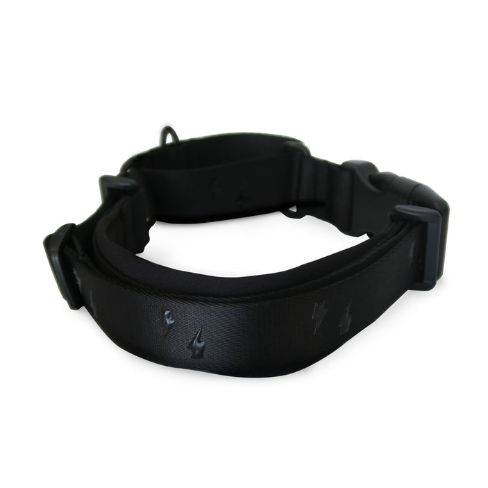 Blackout Martingale Training Collar